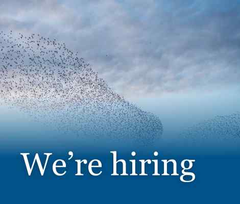An image of a flock of birds flying across a blue sky. White text reads We're hiring